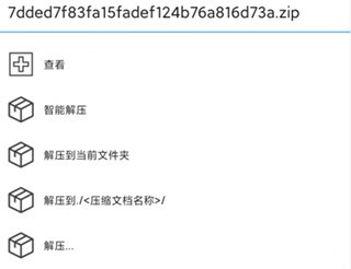rar解压大师手机版