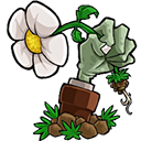 植物大战僵尸转基因版最新版