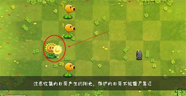 植物大战僵尸转基因版最新版