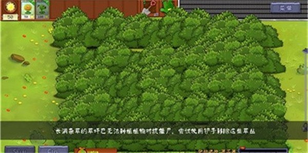 植物大战僵尸转基因版最新版