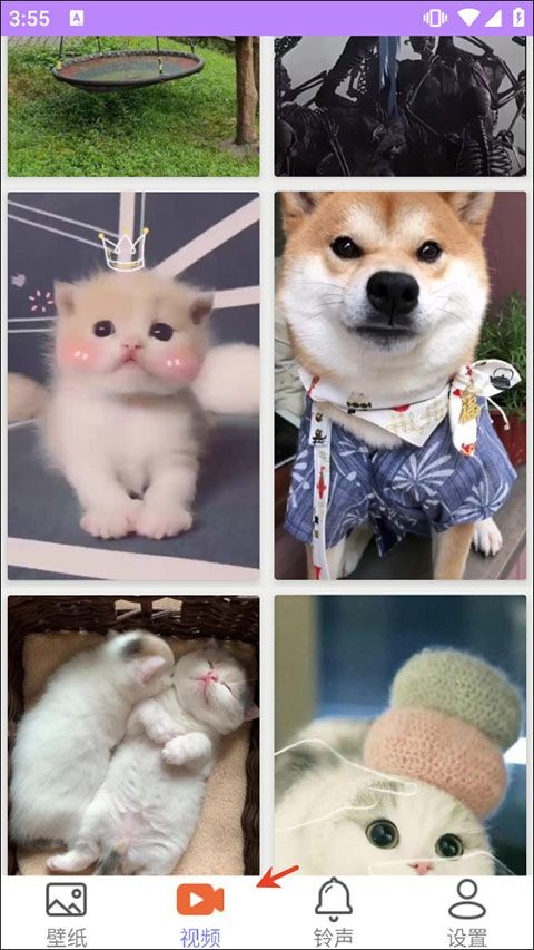 星空壁纸app