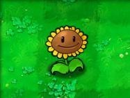 植物大战僵尸java版