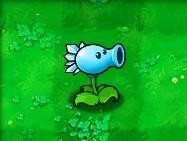 植物大战僵尸java版