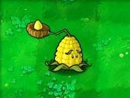 植物大战僵尸java版