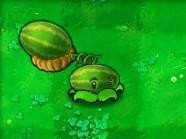 植物大战僵尸java版