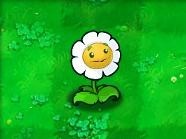 植物大战僵尸java版