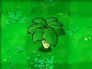 植物大战僵尸java版