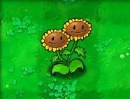 植物大战僵尸java版