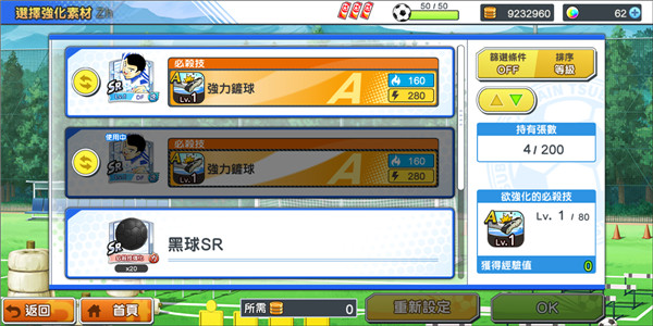 足球小将翼梦之队伍国际服