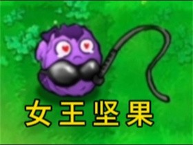 植物大战僵尸逆天版最新版本