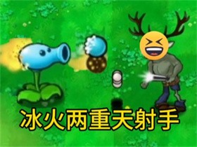 植物大战僵尸逆天版最新版本