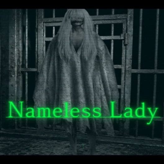 无名女士namelesslady