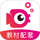 鲤鱼辅导手机版