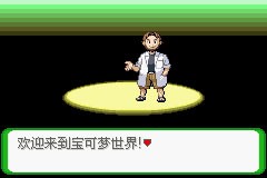 口袋妖怪空之花神补完版汉化版