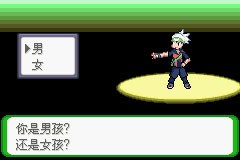 口袋妖怪空之花神补完版汉化版