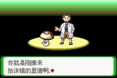 口袋妖怪空之花神补完版汉化版