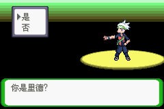 口袋妖怪空之花神补完版汉化版