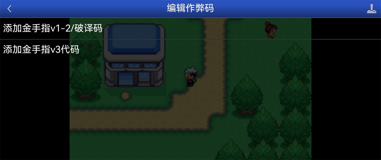 口袋妖怪空之花神补完版汉化版