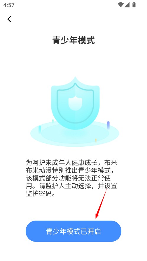 布米布米