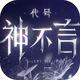代号神不言