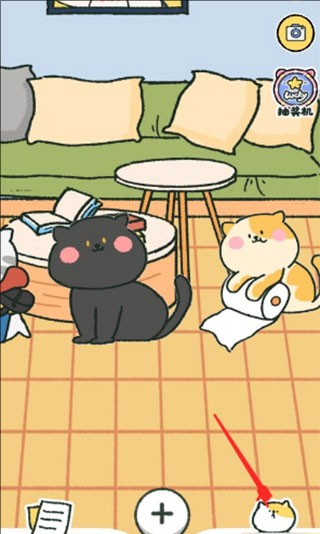 喵喵记账安卓版