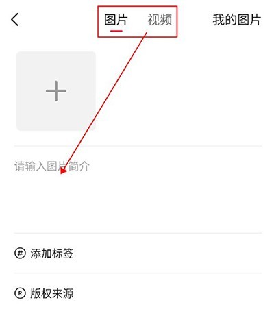 汽水壁纸安卓版