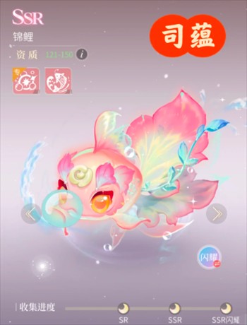 心跳陷落