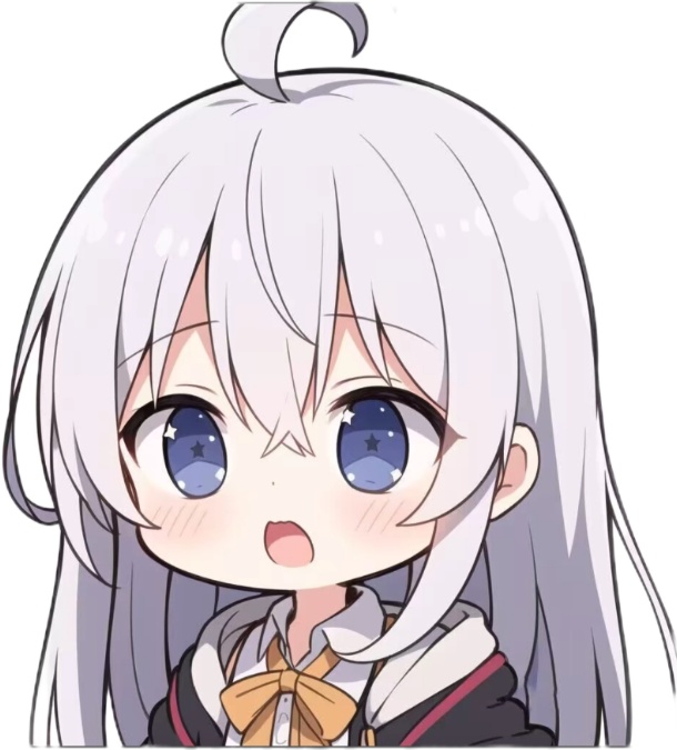 枫叶全防直装
