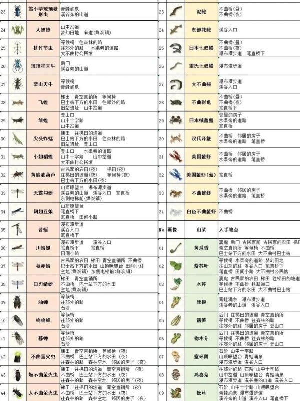 蜡笔小新煤炭镇的小白手机版