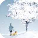 忘雪安卓版