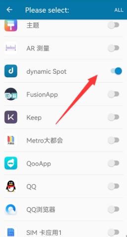 dynamicspot pro灵动岛