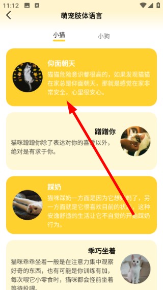 猫翻译器