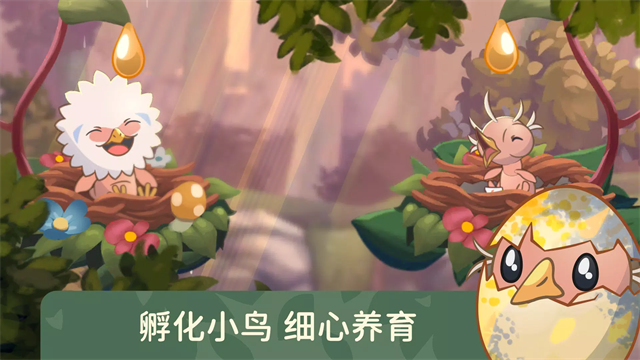 鸟类世界安卓版1