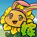 植物大战僵尸嫁接版最新版安卓版