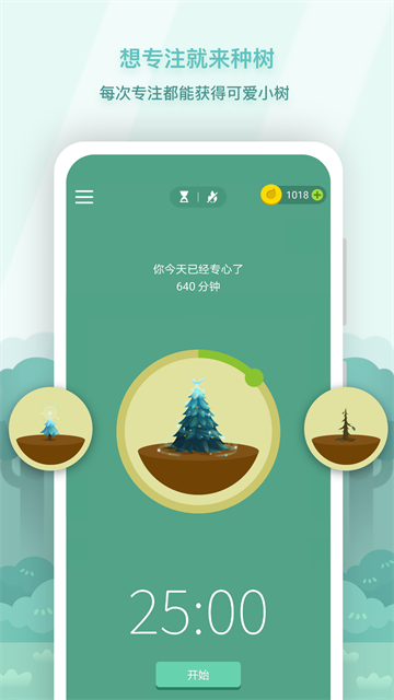 forest专注森林正版0