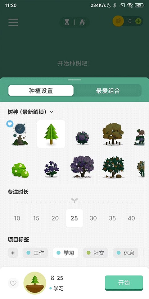 forest专注森林正版
