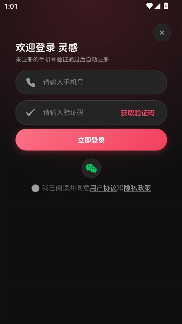 灵感AI高级版