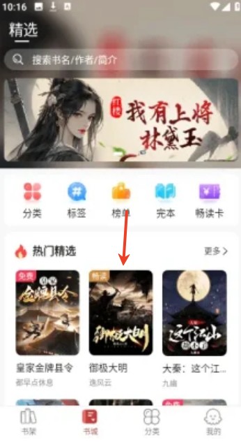 疯情书库