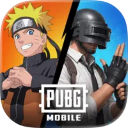 pubg国际服4.5版本