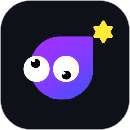 口袋星罗正式版
