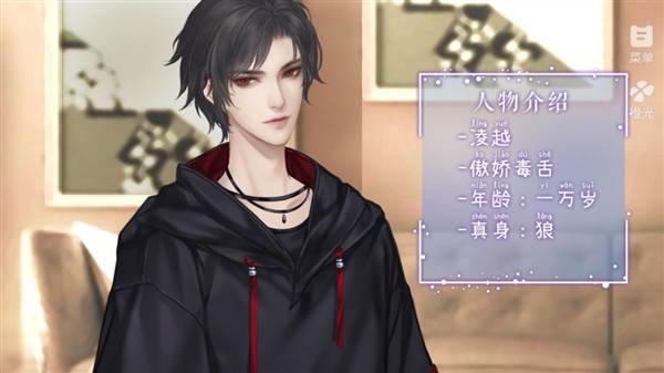 你的心愿已签收完结版