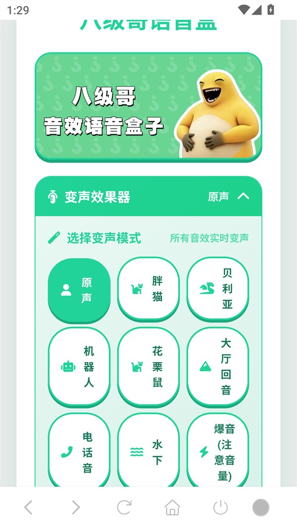 八级哥语音盒