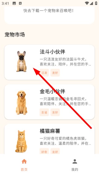 空鱼桌面宠物