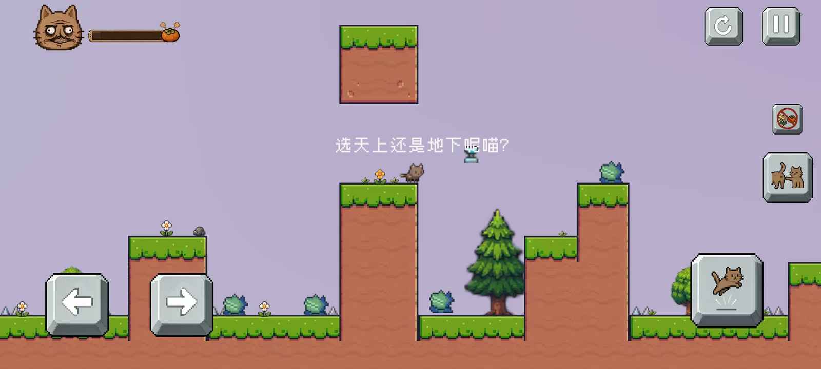 药柿了喵1