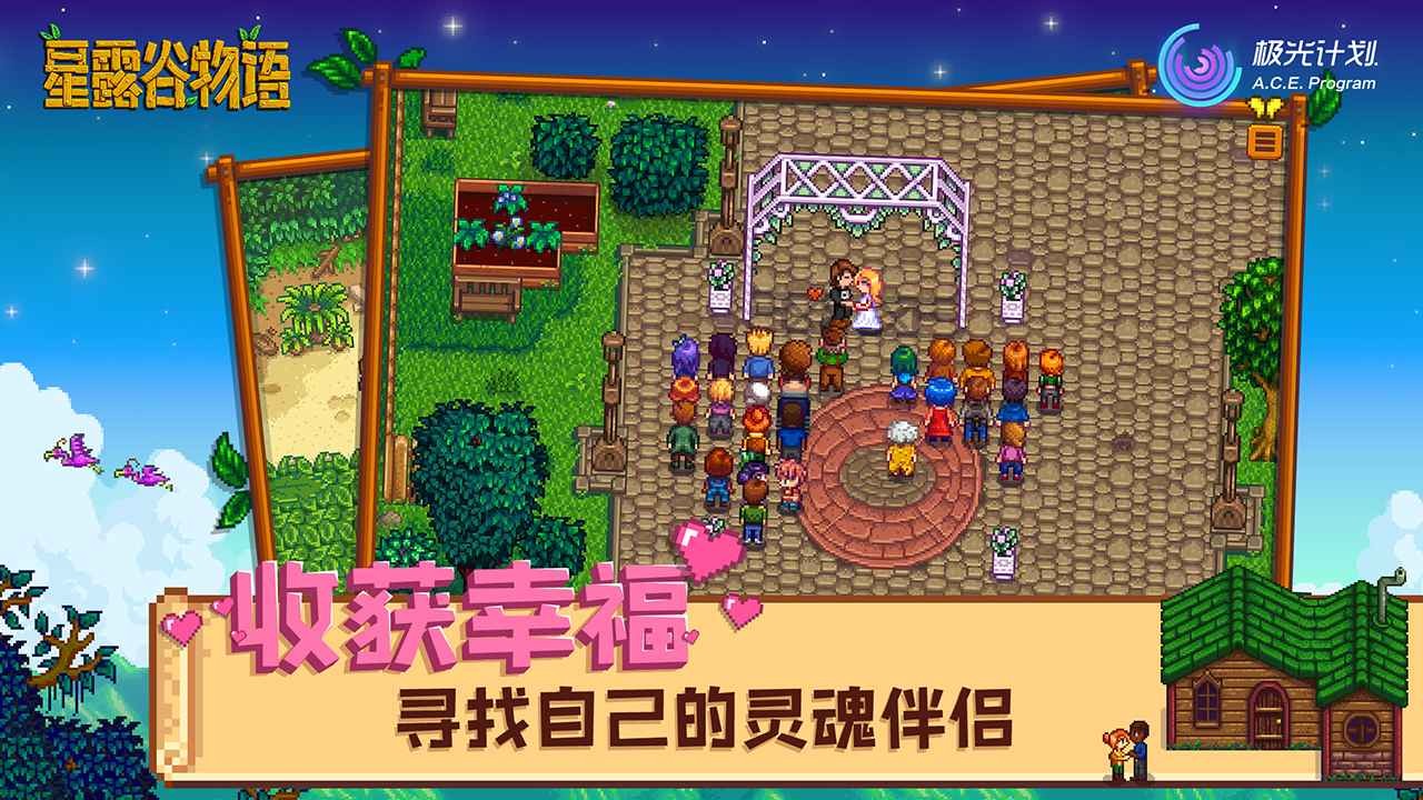 星露谷物语mod版2
