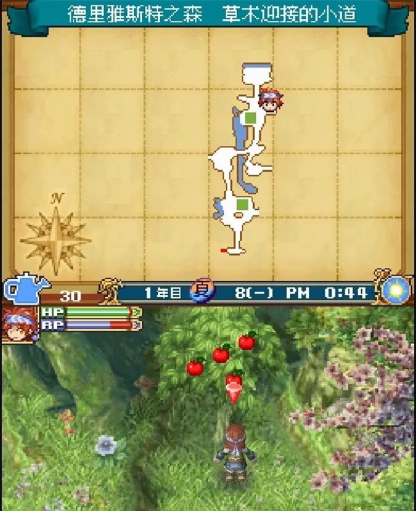 符文工房2新牧场物语移植版