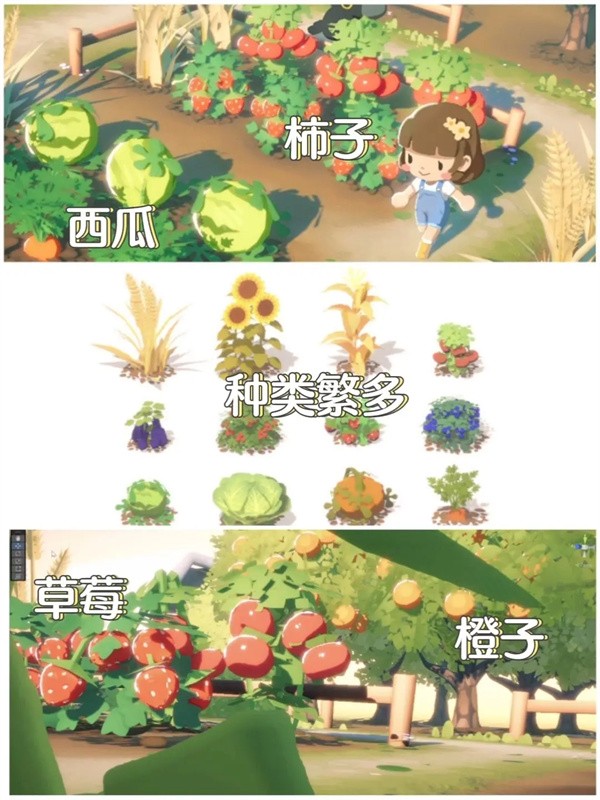 泡芙天空岛游戏汉化版