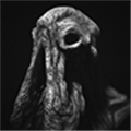 SARCOPH移植版