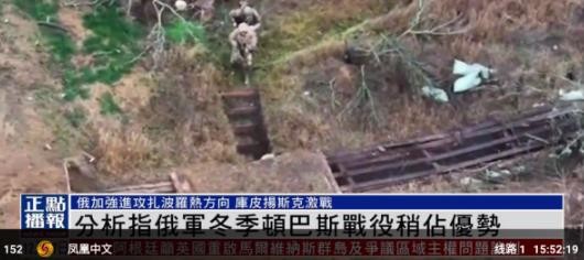 蜂巢直播tv官网版