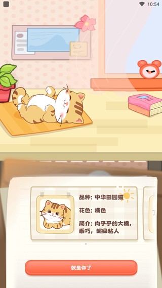 桌面喵软件最新版
